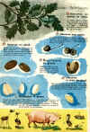 lecongland1.jpg (708662 octets)